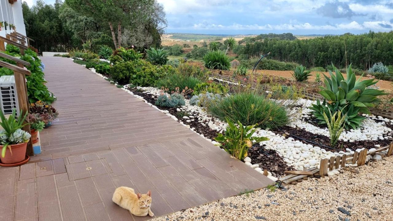 Herdade Monte Novo Do Pocinho Villa Cercal do Alentejo Exterior photo