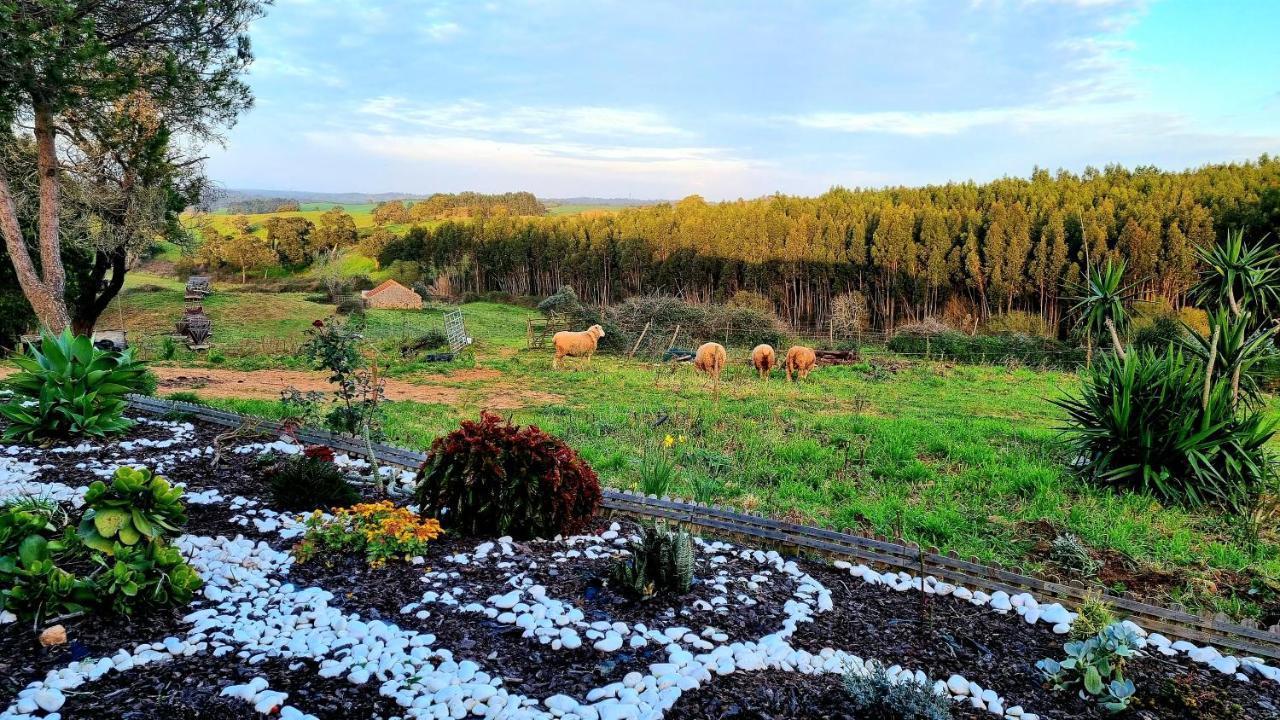 Herdade Monte Novo Do Pocinho Villa Cercal do Alentejo Exterior photo