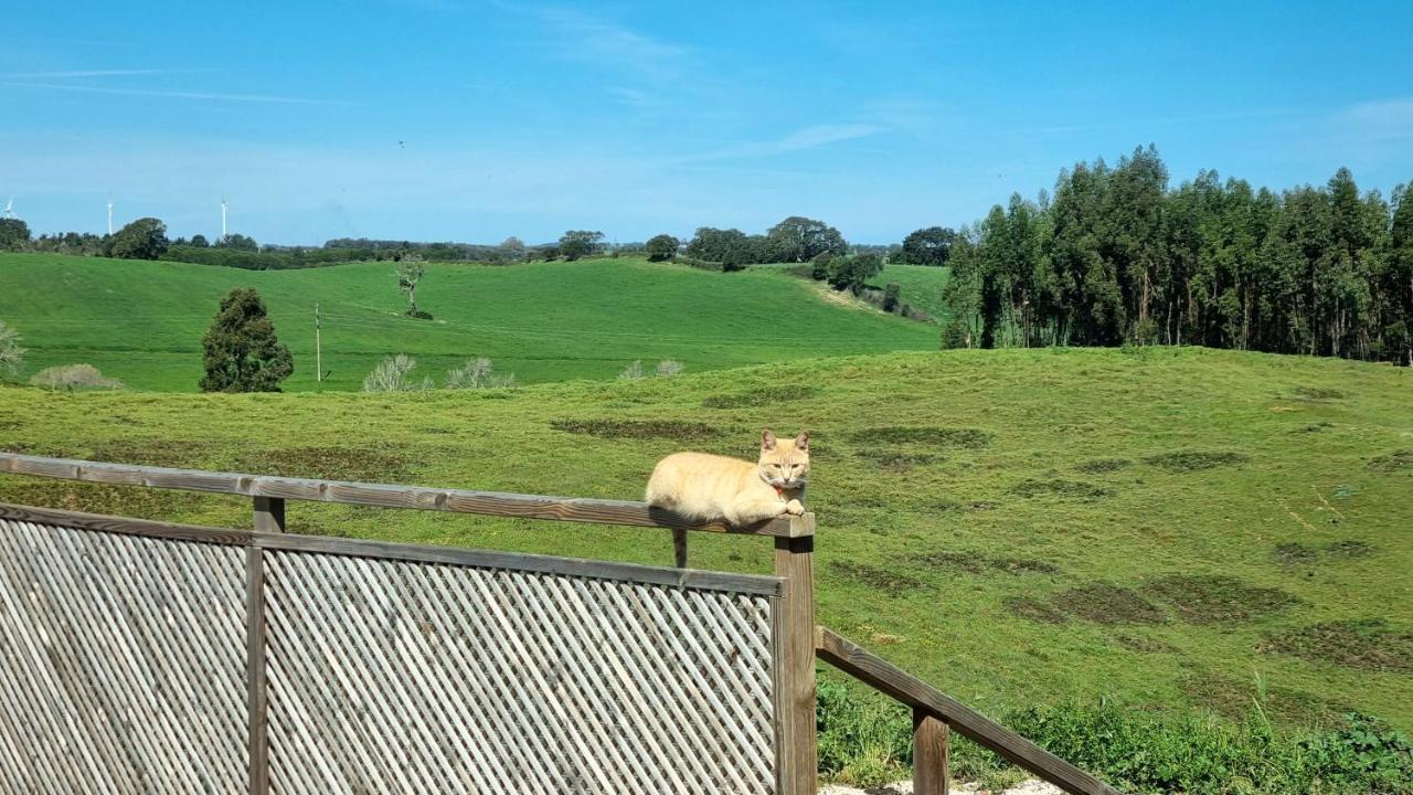 Herdade Monte Novo Do Pocinho Villa Cercal do Alentejo Exterior photo