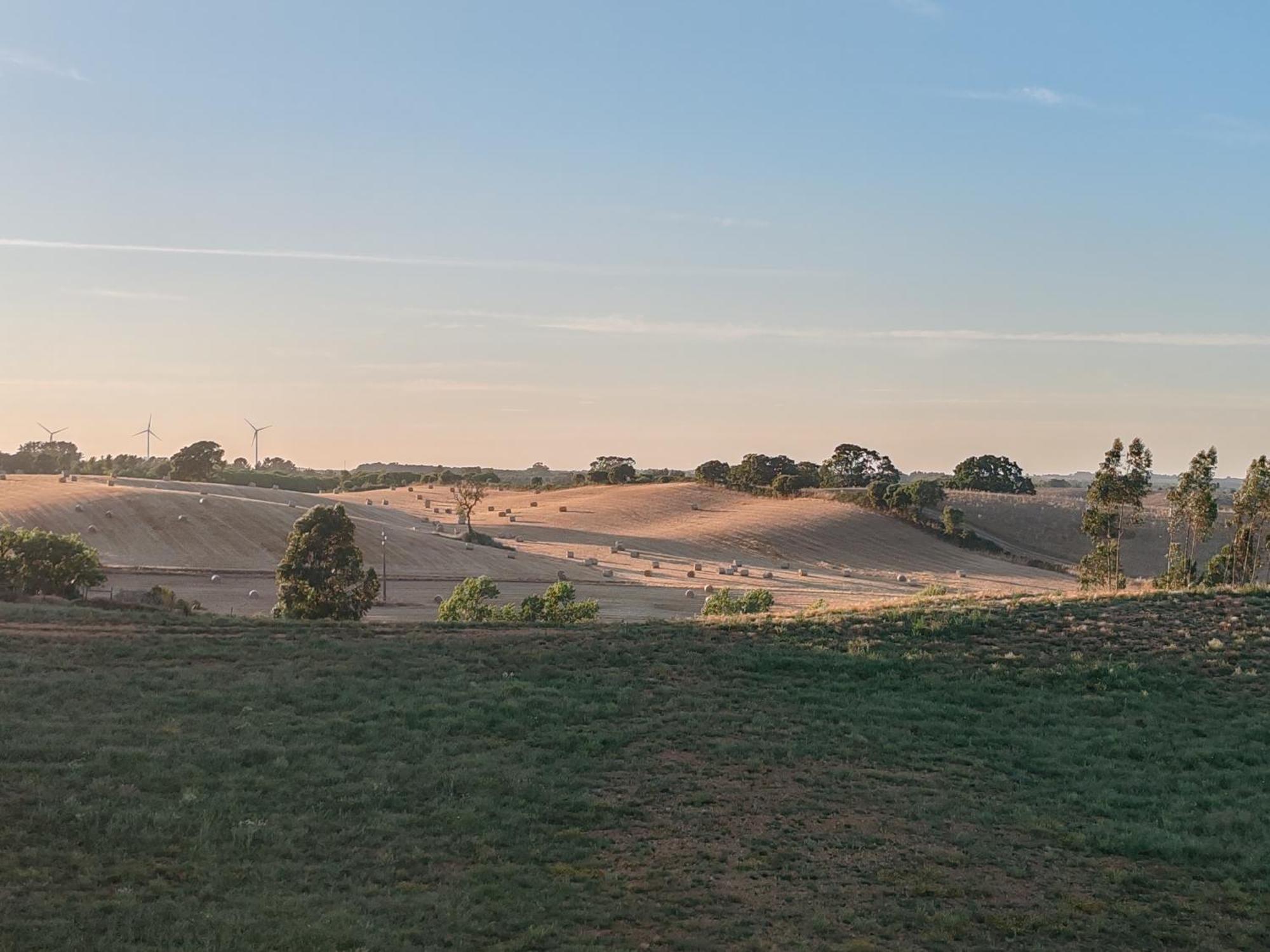 Herdade Monte Novo Do Pocinho Villa Cercal do Alentejo Exterior photo