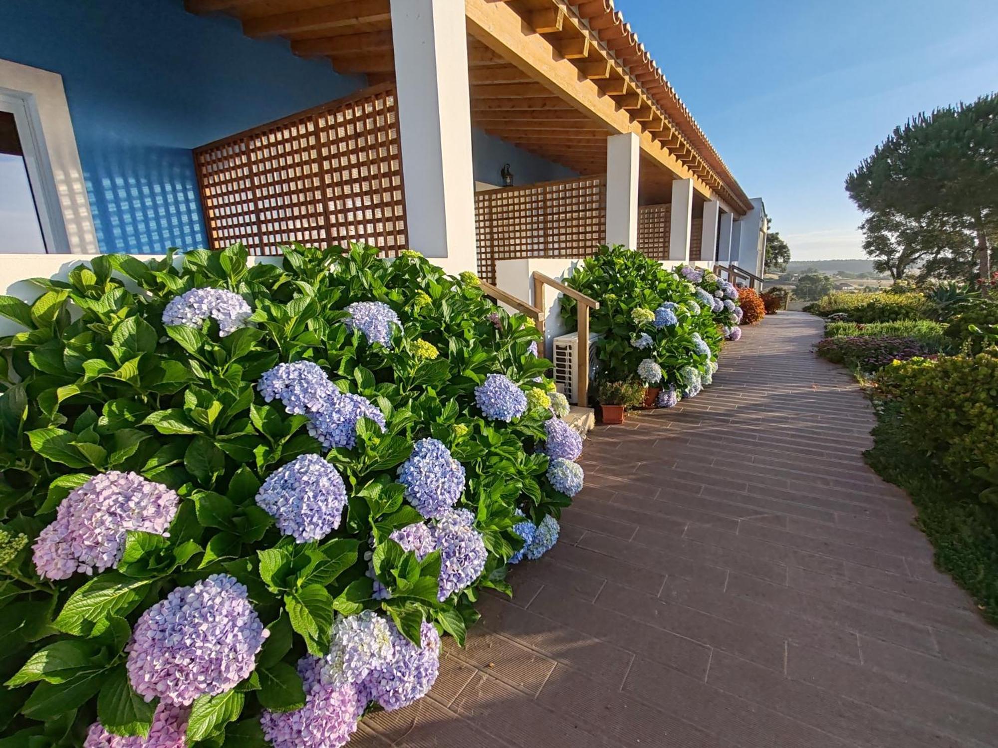 Herdade Monte Novo Do Pocinho Villa Cercal do Alentejo Exterior photo